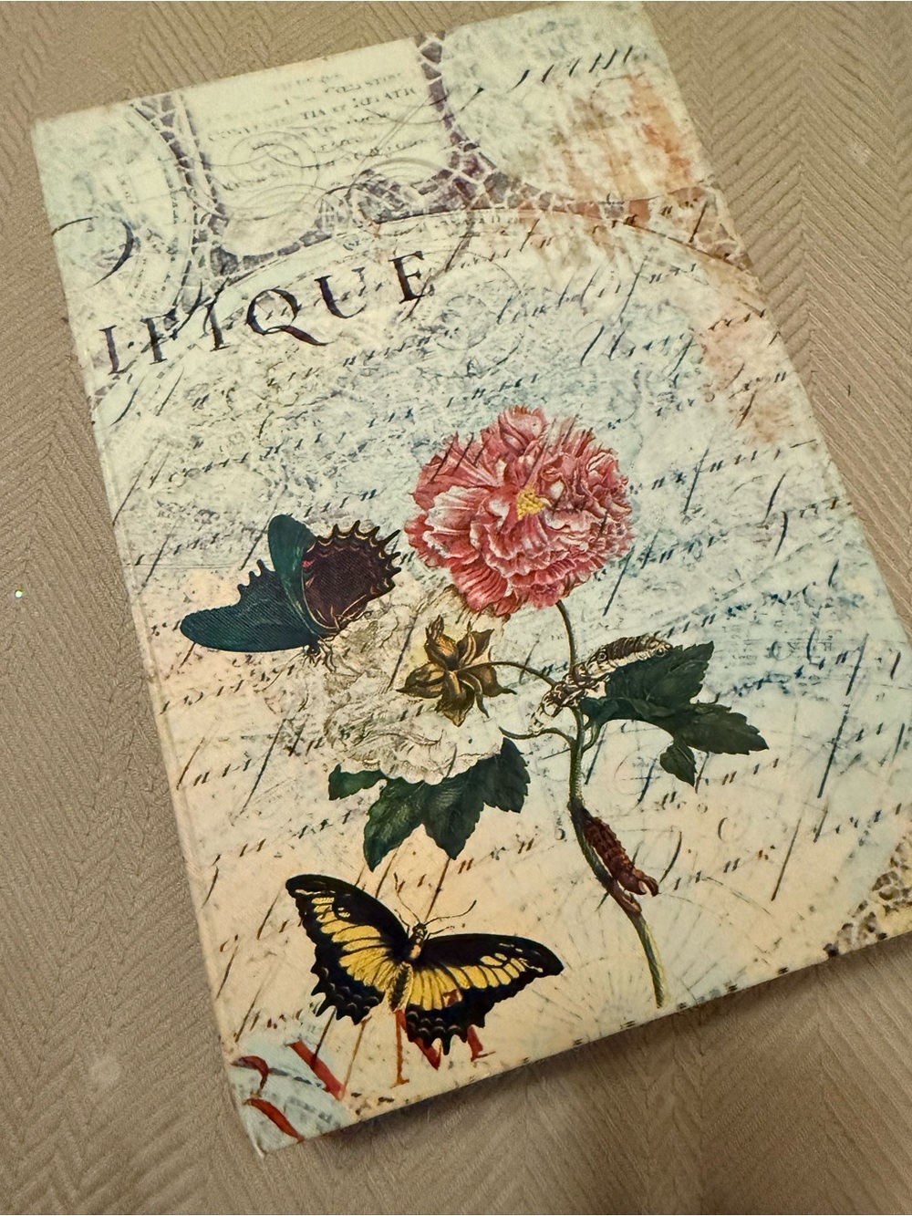 Vintage Floral & Butterfly Canvas Art Print - Pink Carnation